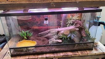Krajta královská + terarium