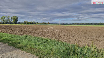 Prodej pozemku, 12361 m2, Malešovice