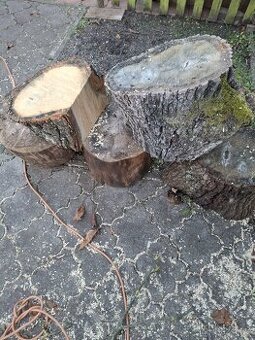 dubové špalky 5 kusů