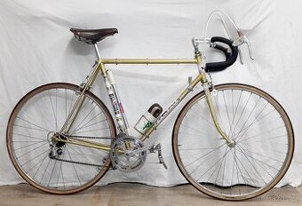 Favorit F1 S-Campahnolo