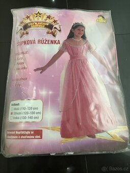 Kostým Šípková Růženka
