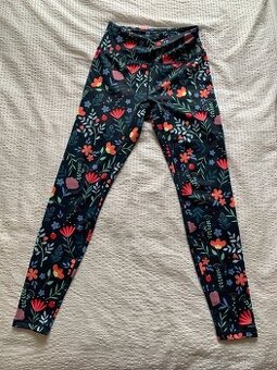 Nove leginy dedoles