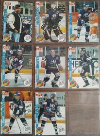 Hokejové karty HC Vítkovice