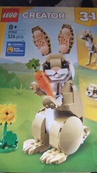 Albert Lego