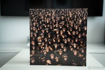 Viktor Sheen – Planeta Opic (LP)