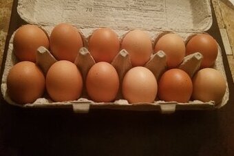 Čerstvá Domácí Vajíčka z Volného Chovu