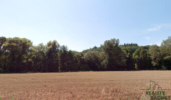 Prodej pozemků o výměre 4 459 m2 v obci Traplice