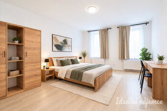 Pronájem bytu 2+kk, Bubeníčkova, Židenice, 15 500 Kč/měs, 35