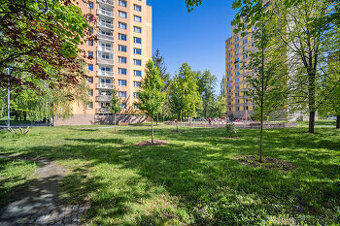 Prodej bytu 3+1 76 m2 v Pardubicích, byt 3+1 76 m2 Pardubice