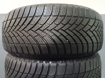 225/55 R18 SEMPERIT (3921)