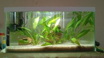 Akvarium