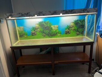 Akvarium