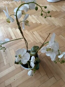 Umělá orchidej v květináči