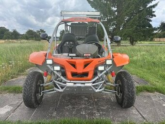 Buggy RENLI 250 - SPZ - 1
