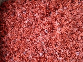 Filtrační médium do jezírkové filtrace