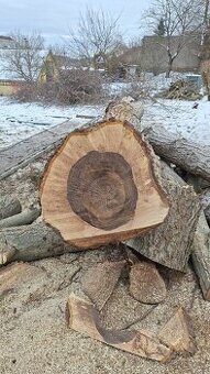 Koupím kmen,  Kmen ořechu, Kmen Dubu, Jilm, Jasan, Ovocné