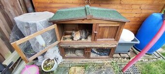 Zakrslý králíček včetně klece