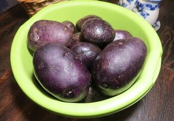 Fialové sadbové brambory