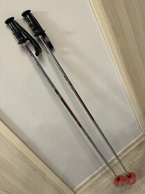 Lyžařské hůlky 130cm