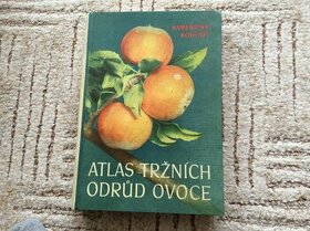 Atlas tržních druhů ovoce