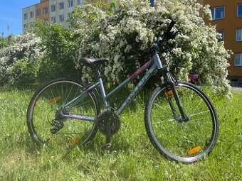 KELLYS dámské kolo