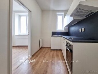 Pronájem zrekonstruovaného bytu 1+1, 41 m2, Plzeň-Jižní Před