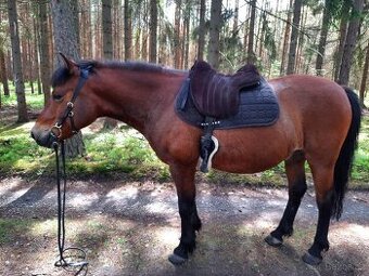 ORX Epona