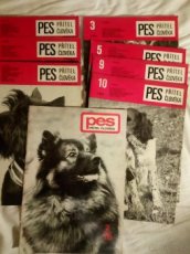 Pes přítel člověka