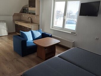 Krátkodobý pronájem - 1