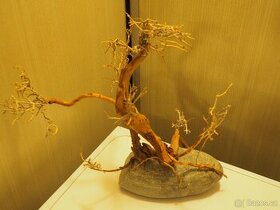 Akvarijní dekorace - bonsai