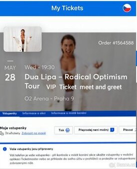 Dua Lipa 28.5