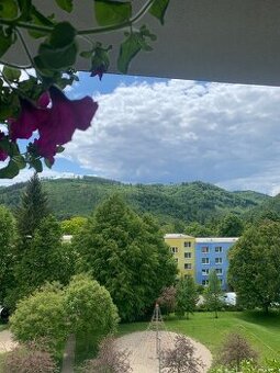 Boskovice_pronájem 1+1 s balkonem