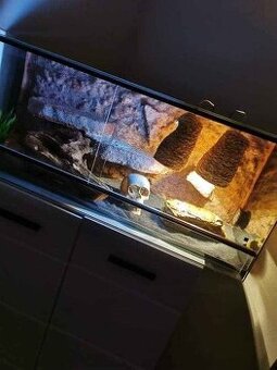 Terárium 80x40x40 cm s pískem