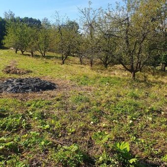 Prodám krásný pozemek za obcí Smolnice u Loun