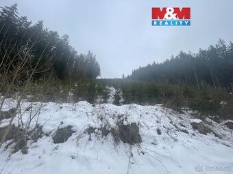 Prodej, les, 70240 m2, Bozkov