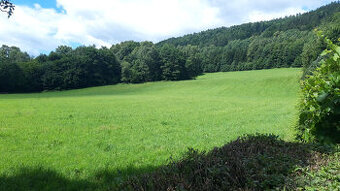 Rozsáhlý stavební pozemek, Loučná nad Desnou - Filipová