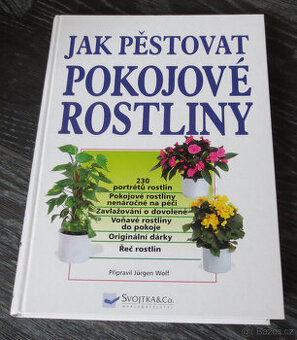 Jak pěstovat pokojové rostliny