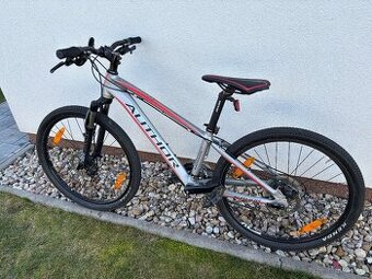 Kolo AUTHOR MIRAGE 24