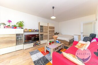 Zařízený byt 1+1 s krásným výhledem, 33 m² + 7 m² lodžie, Pr