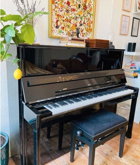 W.Hoffmann Model P126 Piano Jako nové (2019) Černá, stříbrné