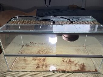 Terárium (délka 60cm a šířka 30 cm)