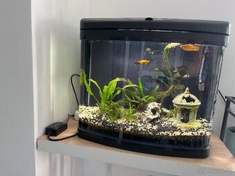Akvarium Invital EasyTank LED 50 litrů