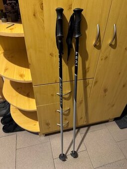 Lyžařské hůlky Leki 120 cm