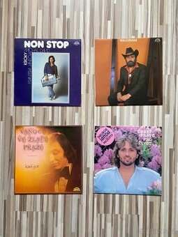 Gramofonové/LP desky