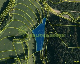 Lesní pozemek k.ú. Leskovec, okr. Vsetín, CP 5162 m2, po těž