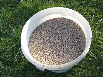 Krmivo, granule pro nosnice