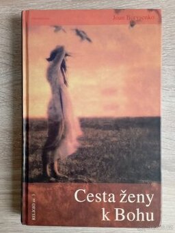 Joan Borysenko: Cesta ženy k Bohu - 1