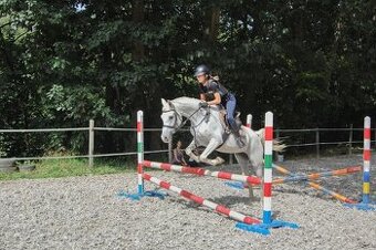Školní klisna - 1