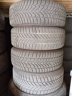 DUNLOP SP WINTER SPORT