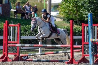 PONY valach